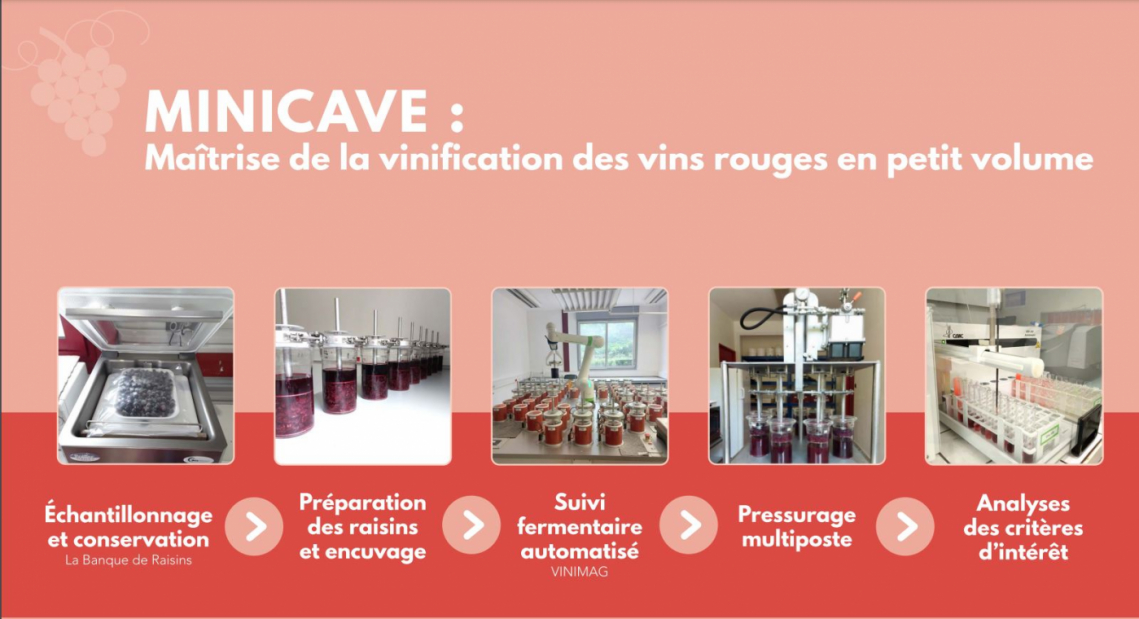 TROPHÉES D'ARGENT - Catégorie Vigne et Vin - IFV-INRAE VINIMAG / IFV – INRAE avec ISP
