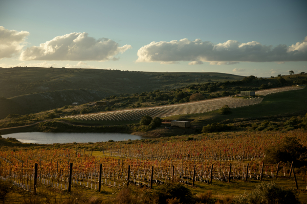 photo-vignoble-lac.jpg